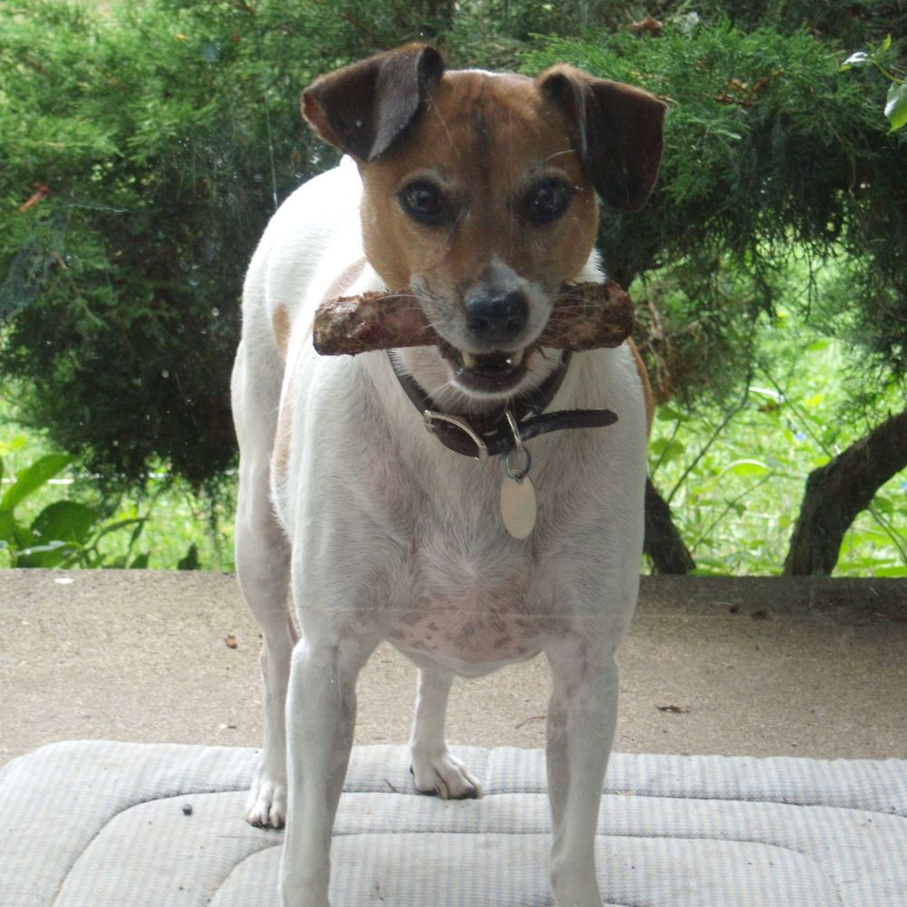 Meet your Posher, Sandy